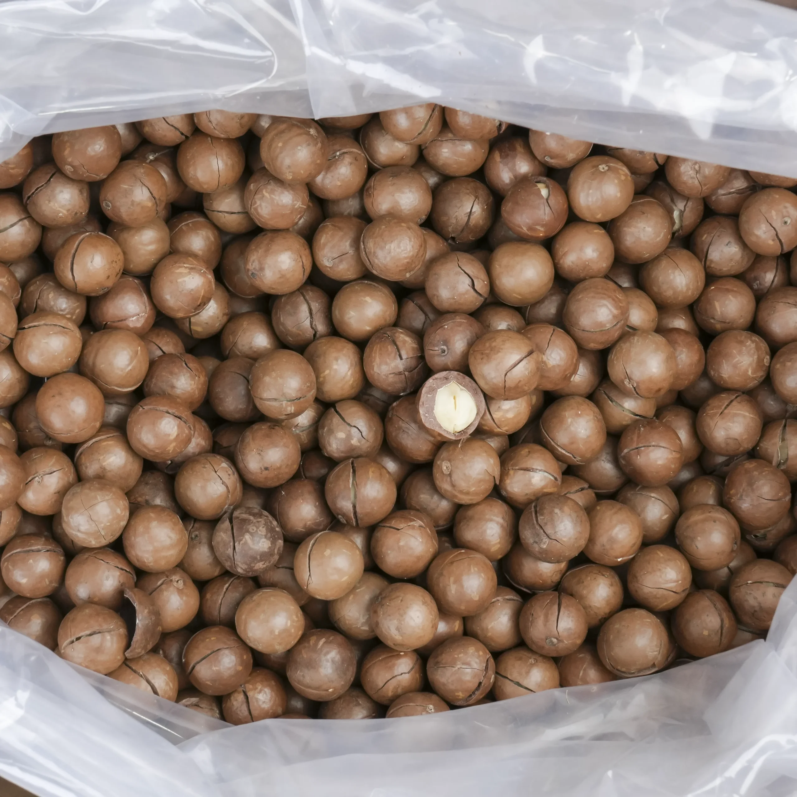 Macca sấy chọn lọc Giá sỉ thùng 10kg - Ảnh 4