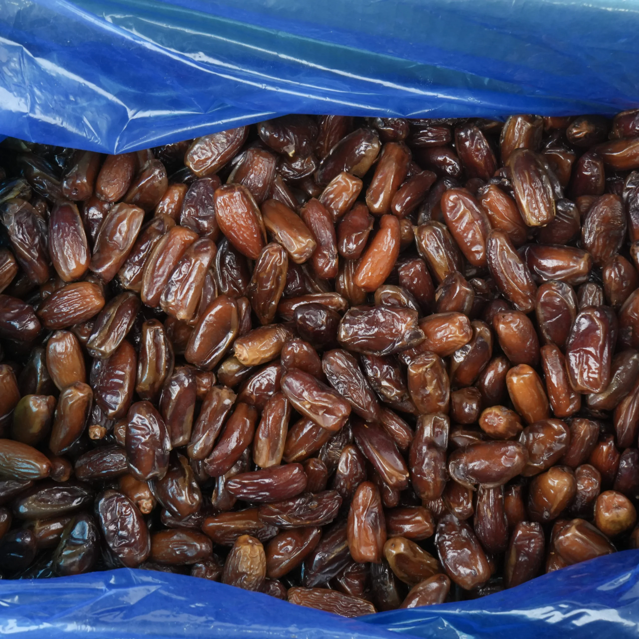 Chà là không cành dài chọn lọc Giá sỉ thùng 10kg - Ảnh 3