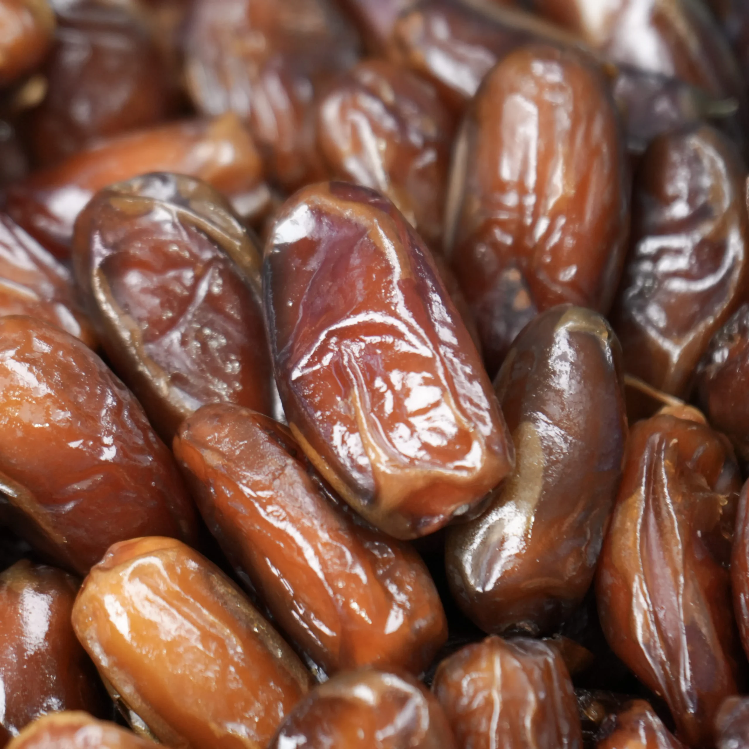 Chà là không cành dài chọn lọc Giá sỉ thùng 10kg