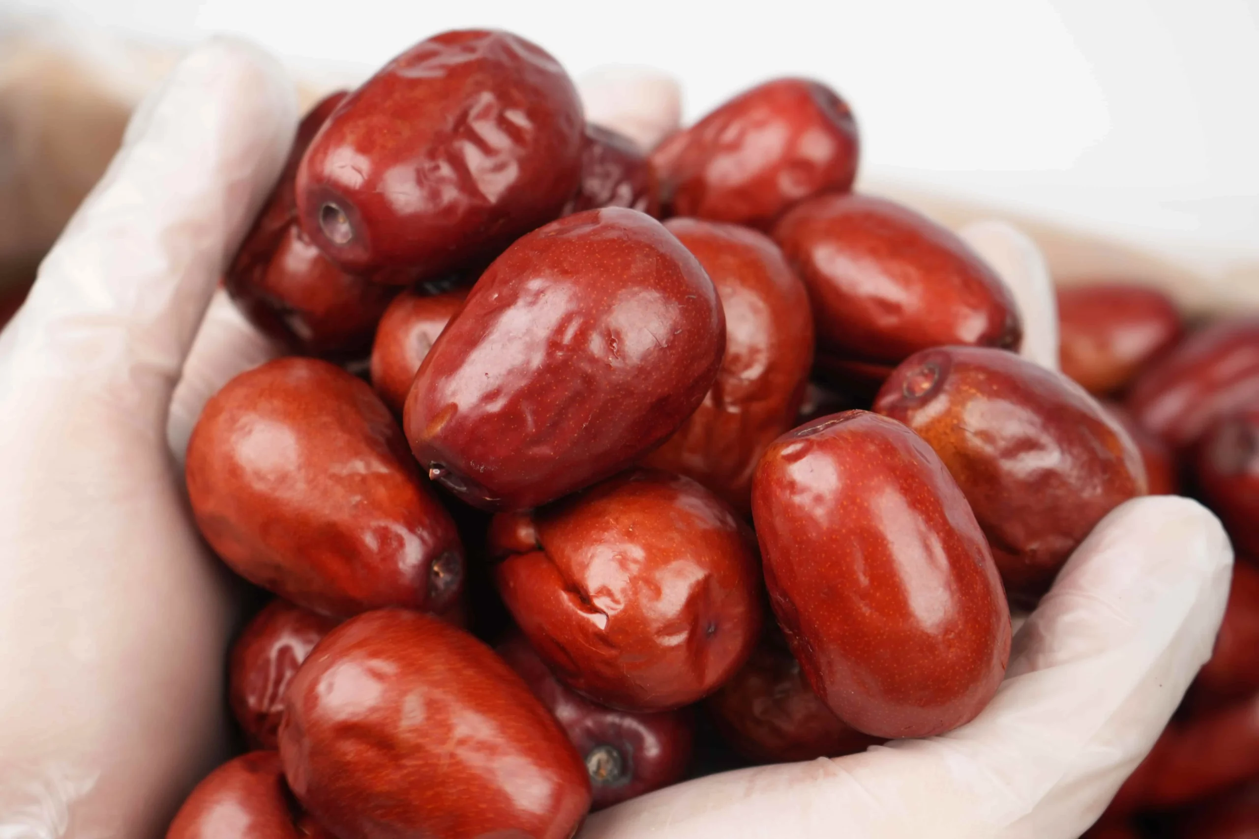 Large Red Jujube (8–9 pieces/100g) – Wholesale 10kg Carton