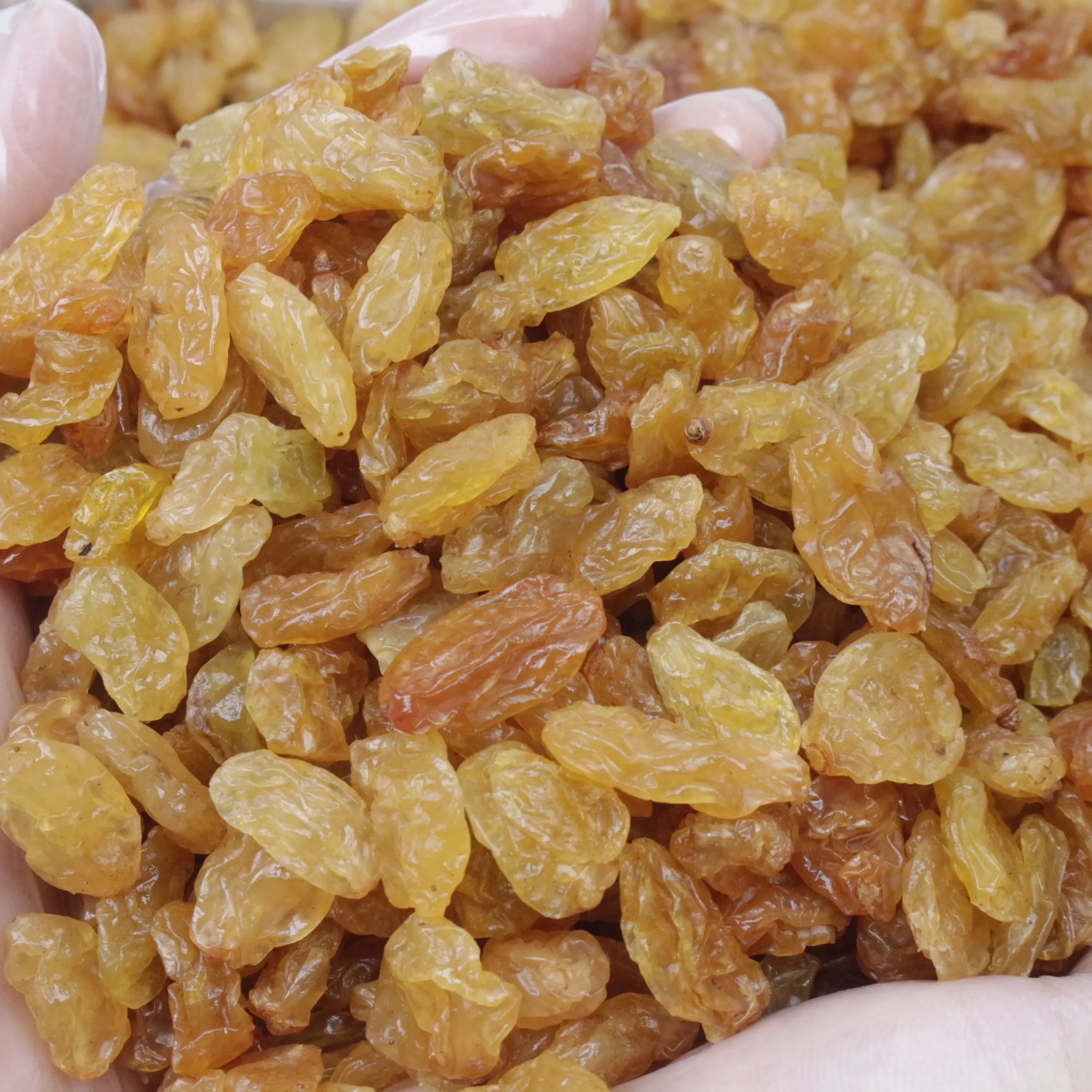 Selected Indian Golden Raisins Jumbo Size – Wholesale 10kg Box - Image 5