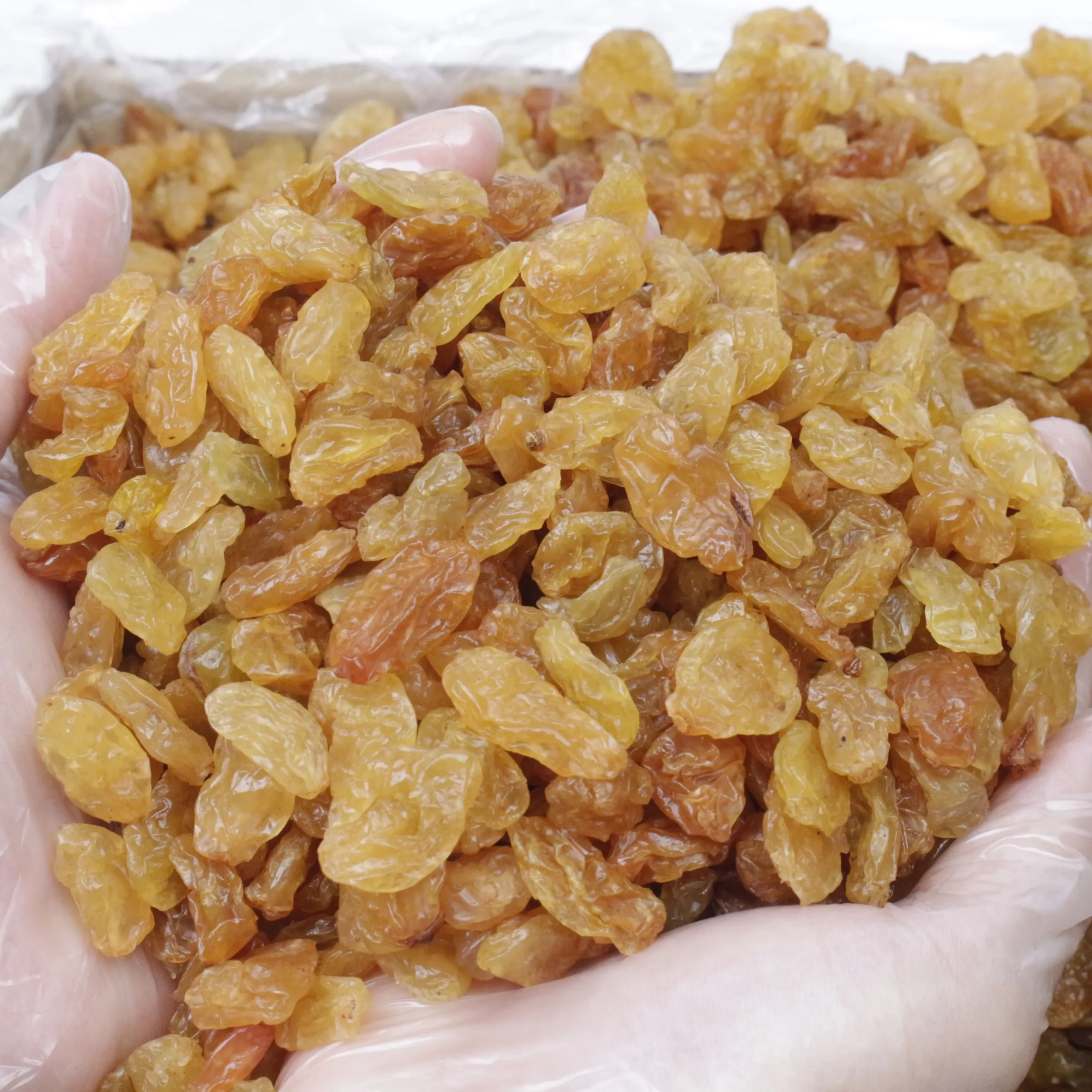 Selected Indian Golden Raisins Jumbo Size – Wholesale 10kg Box - Image 3