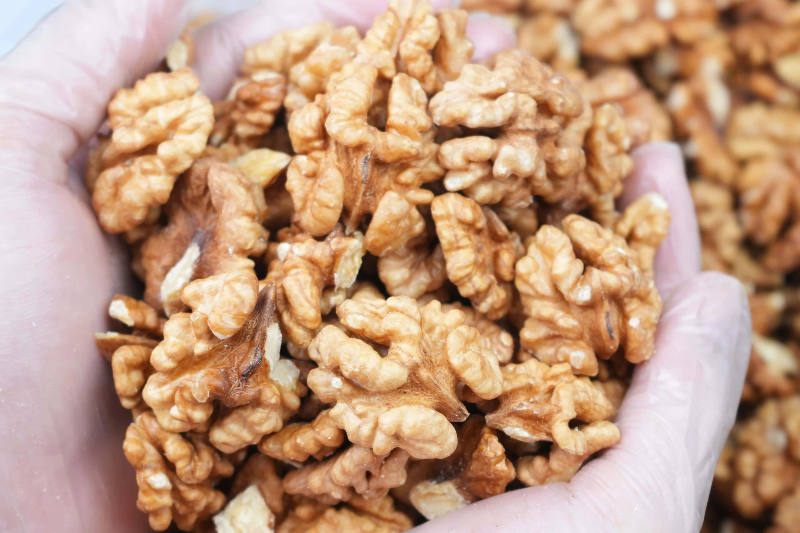 Quả Óc Chó Chandler size 30/32 Chile Giá sỉ bao 25kg - Ảnh 4