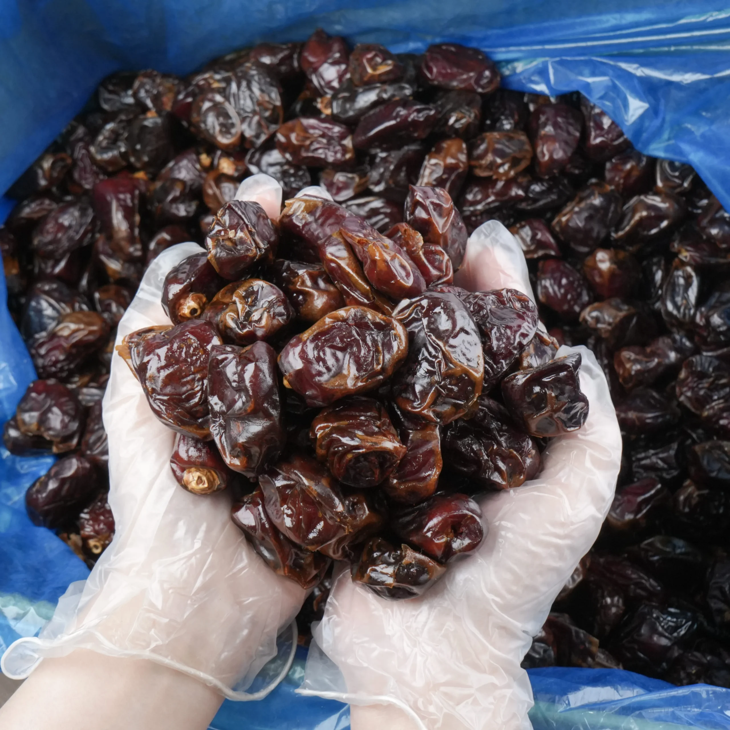 Chà là không cành tròn chọn lọc Giá sỉ thùng 10kg - Ảnh 5