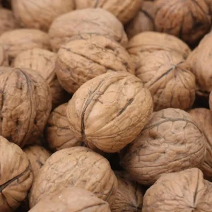 Rang Óc Chó như thế nào là đúng cách?