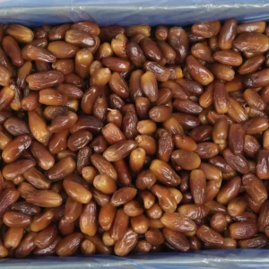 Chà là không cành dài chọn lọc Giá sỉ thùng 10kg
