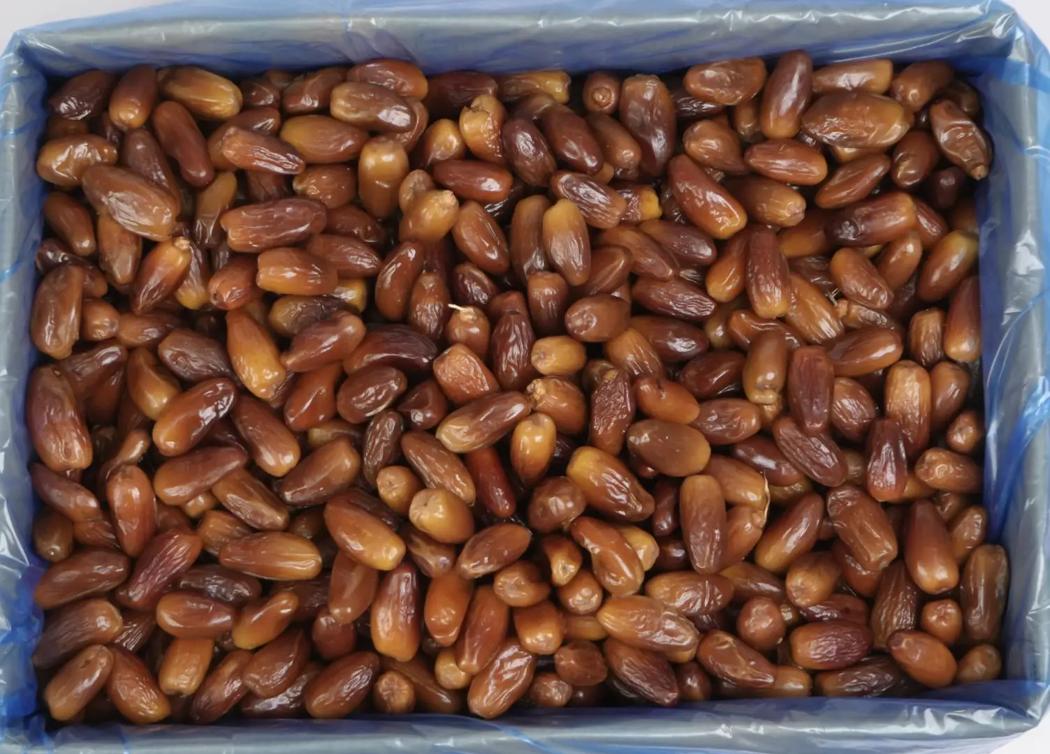 Chà là không cành dài chọn lọc Giá sỉ thùng 10kg