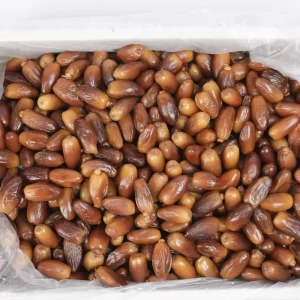 Alternative view of Chà là không cành dài Giá sỉ thùng 5kg