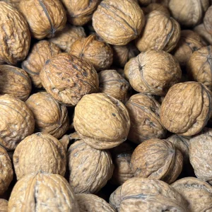 Alternative view of Quả Óc Chó Đỏ Mỹ Giá sỉ bao 25kg