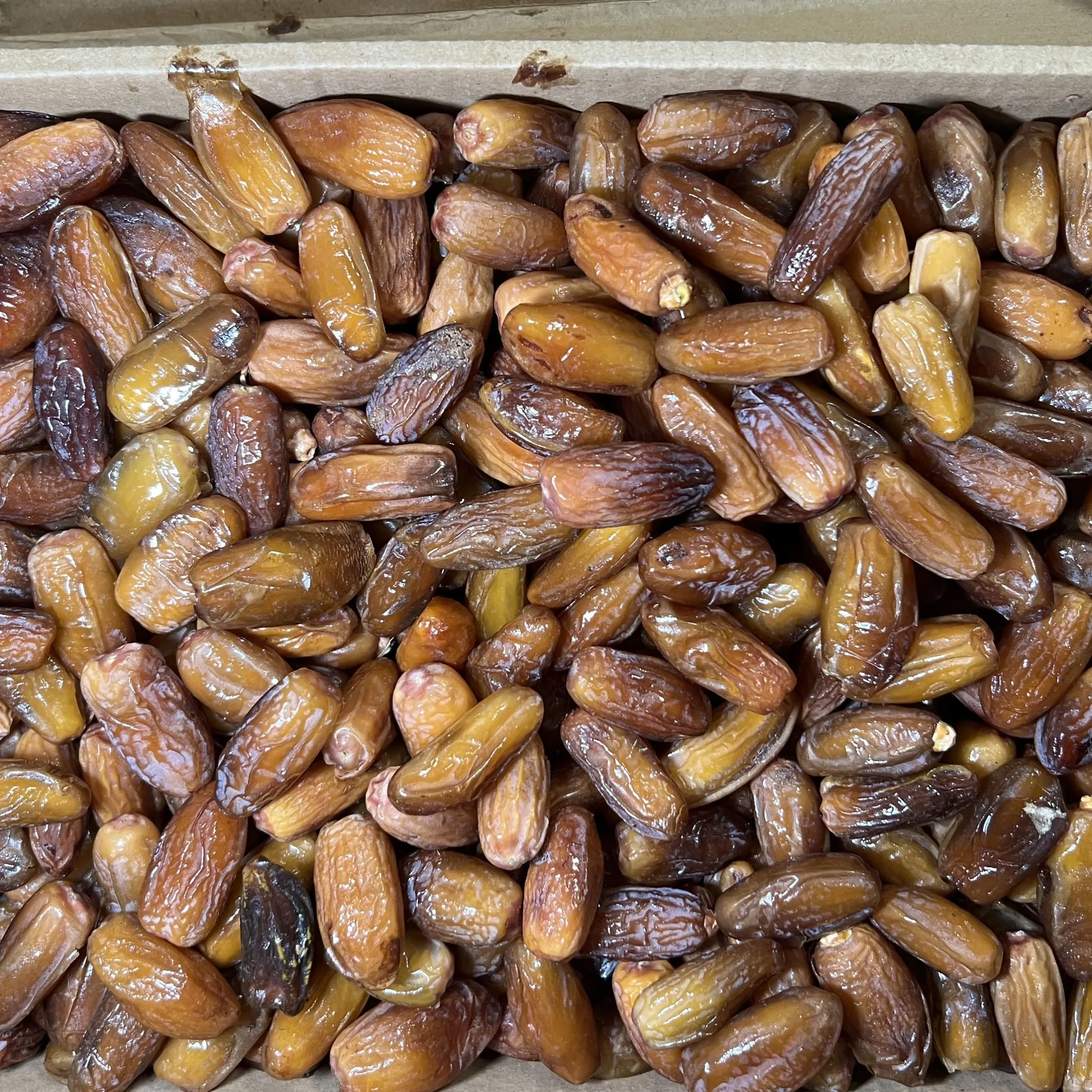 Chà là không cành dài Giá sỉ thùng 5kg - Ảnh 3