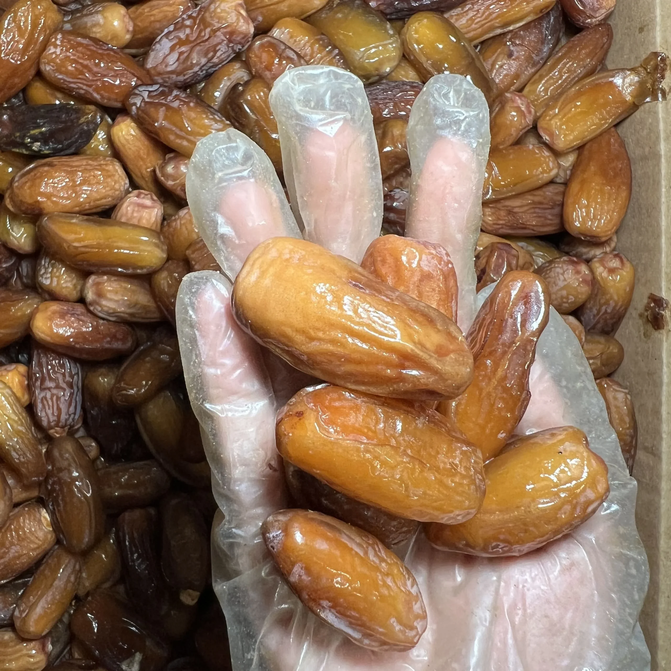 Chà là không cành dài Giá sỉ thùng 5kg - Ảnh 4