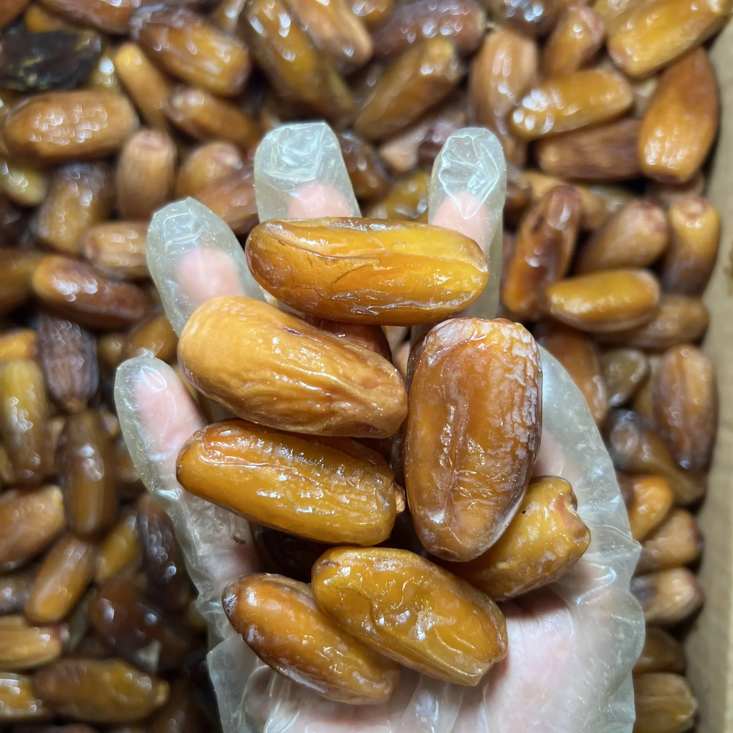 Chà là không cành dài Giá sỉ thùng 5kg - Ảnh 5