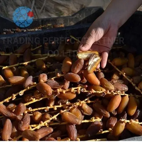 Chà Là Khô Cực Hot Trên Thị Trường Việt Nam Cận Tết